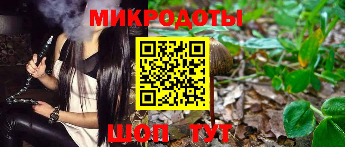Кинель  купить наркотик  Вход с VPN  Псилоцибиновые грибы Cubensis 